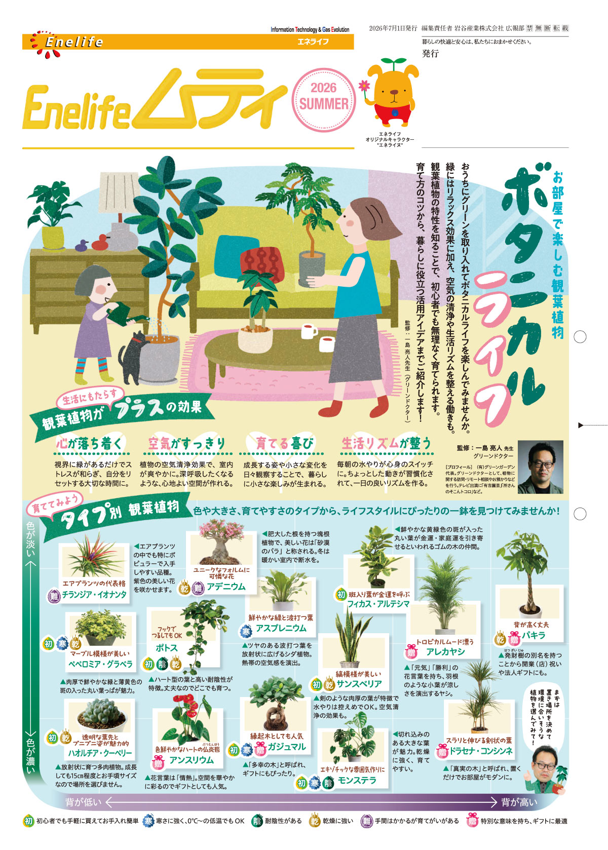 2026夏号